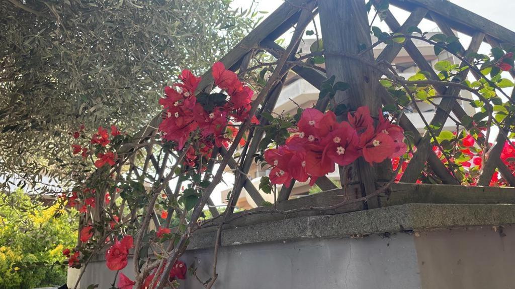 דירות טורביאניקה Casa Adele מראה חיצוני תמונה